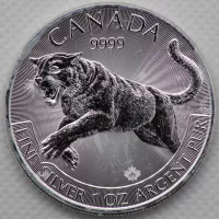2016 Silver Couguar