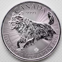 2018 SIlver Wolf