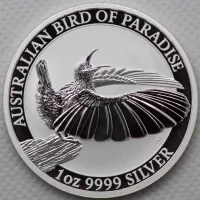 2018 Bird of Paradise