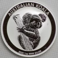 2020 Koala