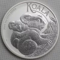2023 Koala
