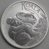 2023 Koala