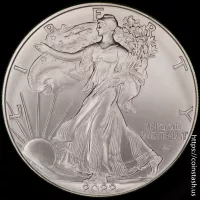 2022 American Silver Eagle