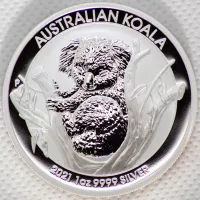 2021 Silver Koala