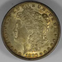 1880 Morgan Silver Dollar