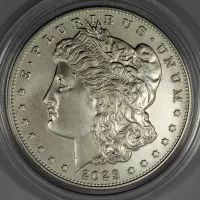2023 Morgan Silver Dollar