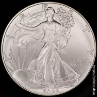 2022 American Silver Eagle