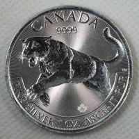 2016 Silver Cougar