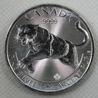 2016 Silver Cougar