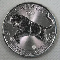 2016 Silver Cougar