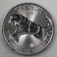 2016 Silver Cougar